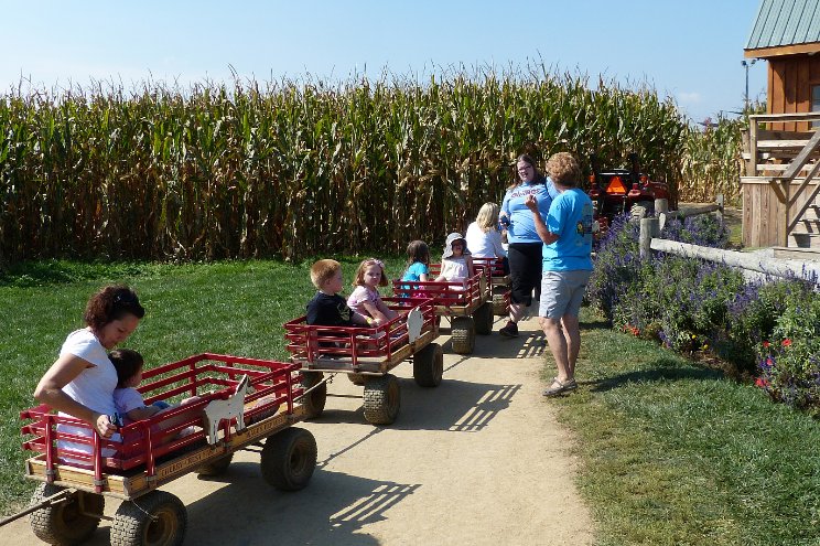 Wagon Express